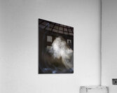 SpiritLight Acrylic Print