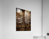 Trevi Acrylic Print