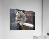 LubjyanaR Acrylic Print