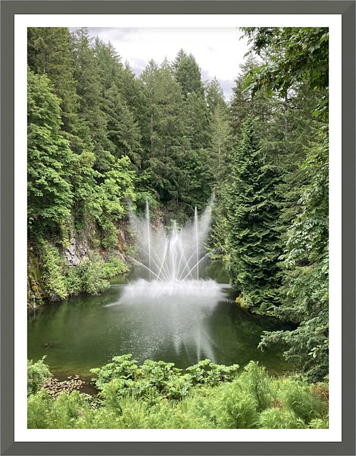 WaterAngel Picture Frame print