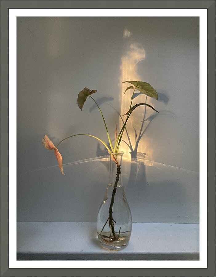  Fine Art print