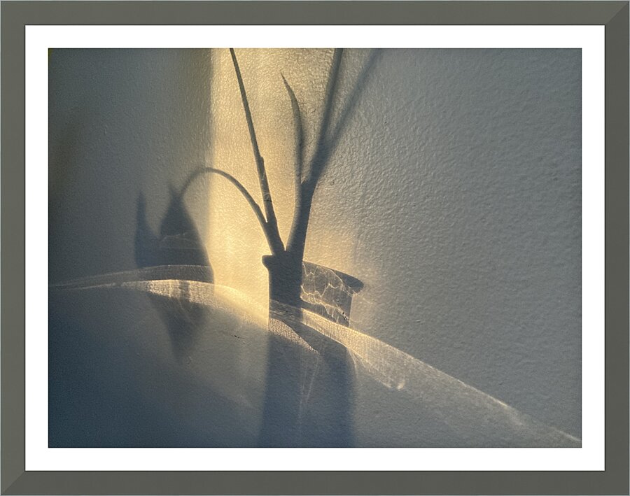 Alive5 2 Picture Frame print