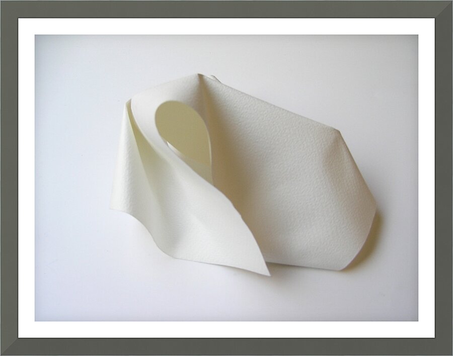 PaperSculpt2 Picture Frame print