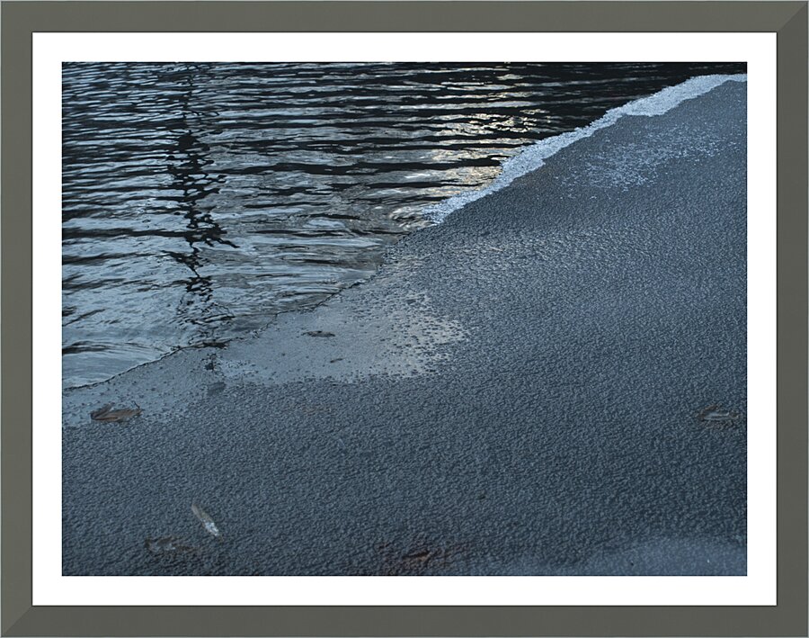 ChatPond3 Picture Frame print