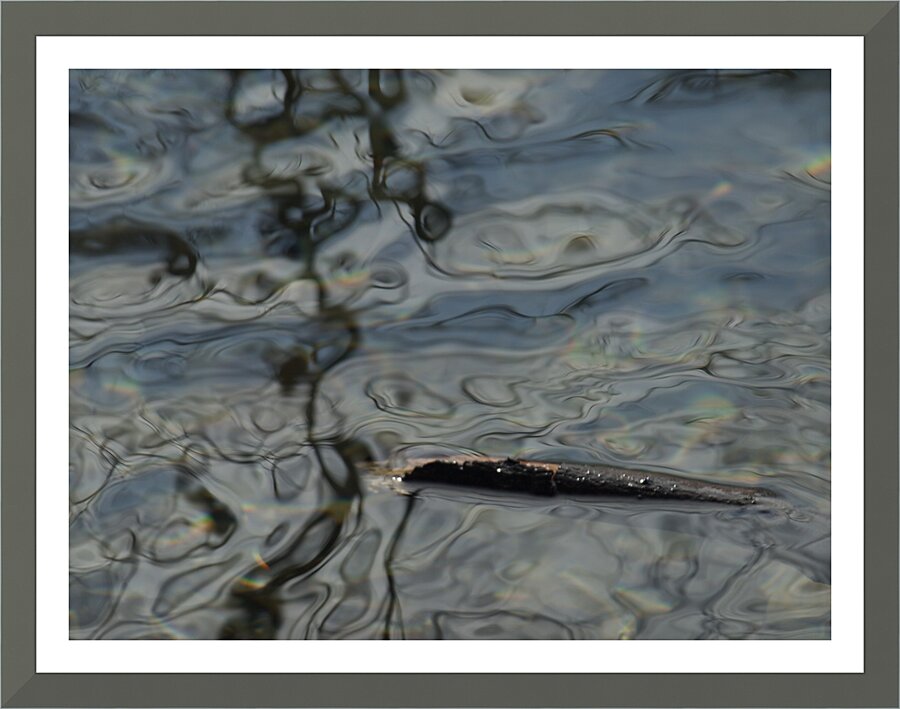 ChatPond5 Picture Frame print