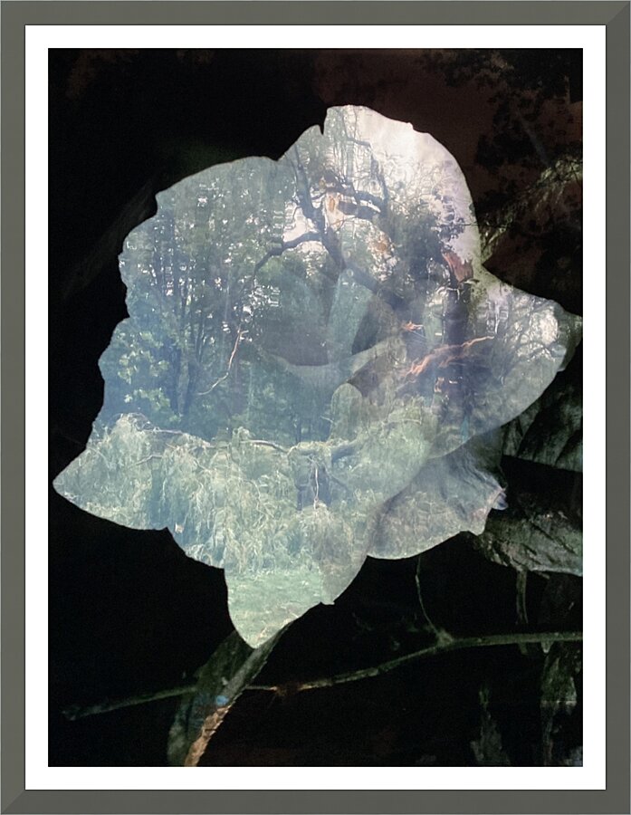  Fine Art print