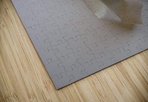 PaperSculpt1 Mary Kobet  puzzle