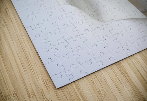 PaperSculpt2 Mary Kobet  puzzle