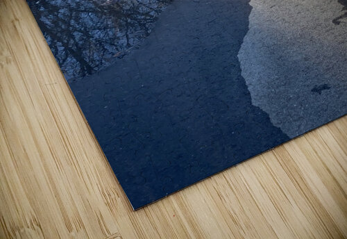 Winterwalk2 Mary Kobet  puzzle
