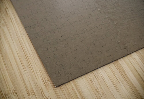 QuietLkMI Mary Kobet  puzzle