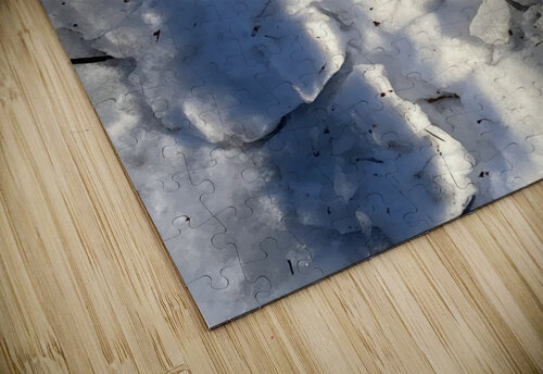 WinterWalk3 Mary Kobet  puzzle