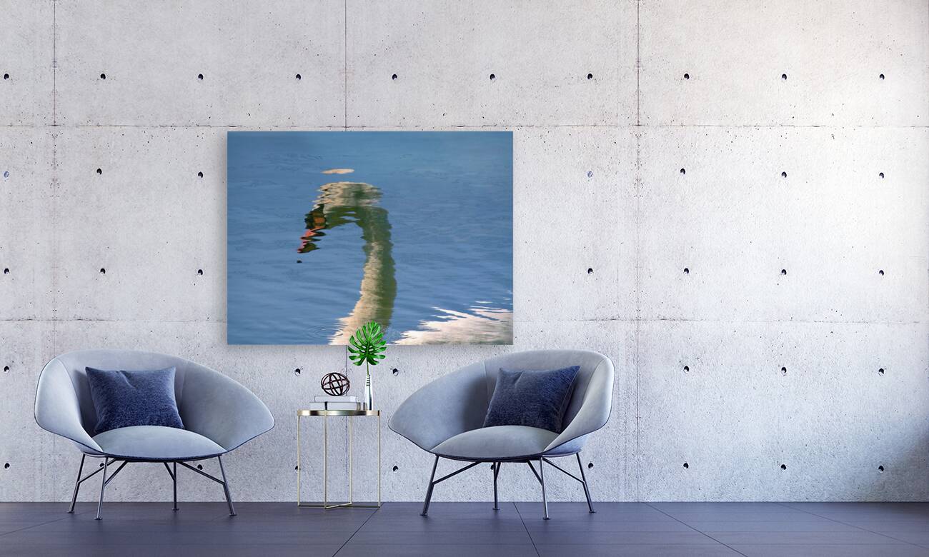 SwanReflects Reproduction