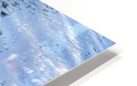 Winterwalk2 HD Metal print