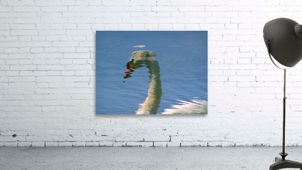 SwanReflects Wall Preview