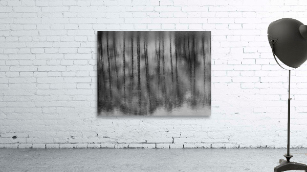 PolandPond Wall Preview