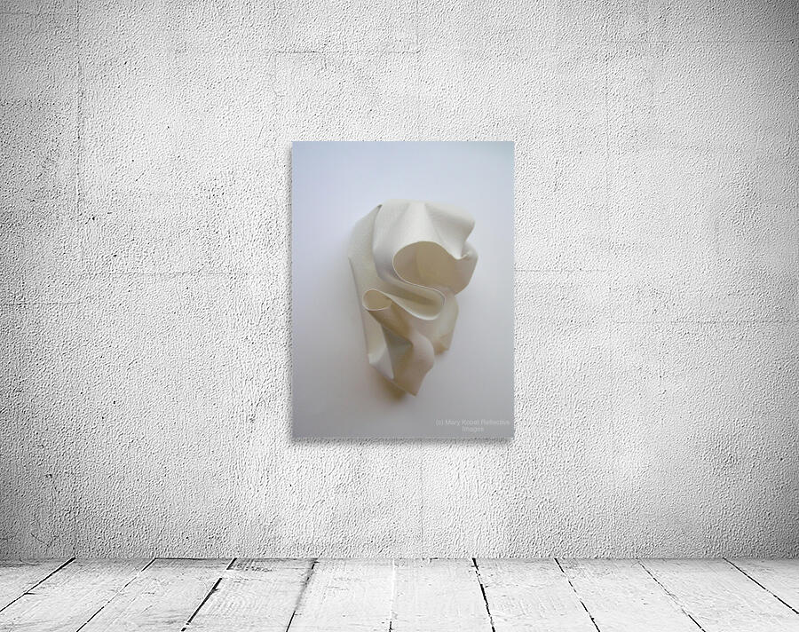 PaperSculpt1 Wall Preview