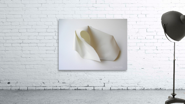 PaperSculpt2 Wall Preview