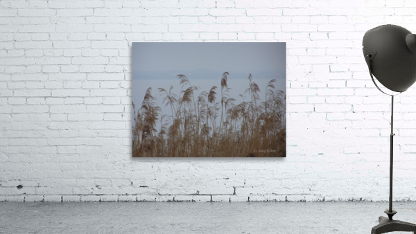 Garda  Wall Preview