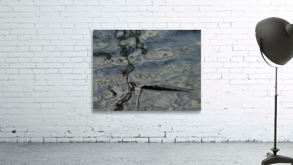 ChatPond5 Wall Preview
