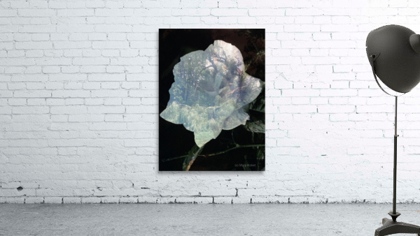 RoseHolds Wall Preview