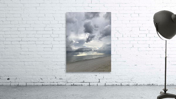 FloridaTide Wall Preview