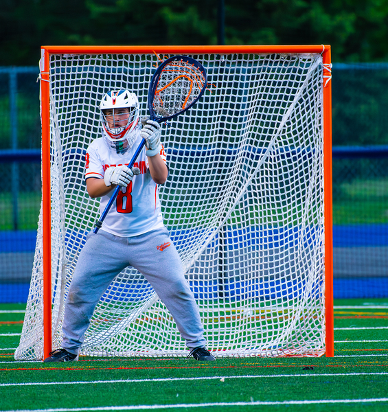  DSC2989 Enhanced NR Digital Download