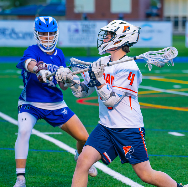  DSC3015 Enhanced NR Digital Download