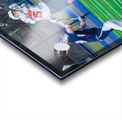 Potsdam Lacrosse Acrylic print