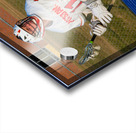 Potsdam Lacrosse Acrylic print