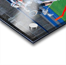 Potsdam Lacrosse Acrylic print