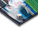 Potsdam Lacrosse Acrylic print