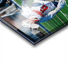  DSC2296 Enhanced NR Acrylic print