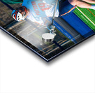  DSC2312 Enhanced NR Acrylic print