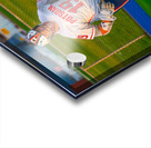  DSC2786 Enhanced NR Acrylic print