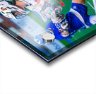  DSC3015 Enhanced NR Acrylic print