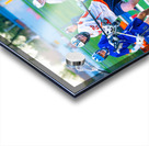  DSC3046 Enhanced NR Acrylic print