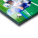  DSC2941 Enhanced NR Acrylic print