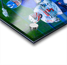  DSC2978 Enhanced NR Acrylic print