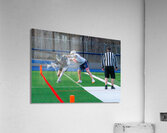 Potsdam Lacrosse Acrylic Print