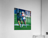  DSC2193 Enhanced NR Acrylic Print