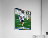  DSC2296 Enhanced NR Acrylic Print