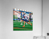  DSC2182 Enhanced NR Acrylic Print