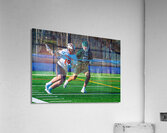  DSC2312 Enhanced NR Acrylic Print