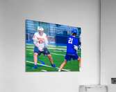  DSC3062 Enhanced NR Acrylic Print