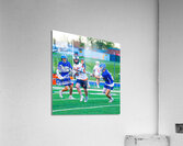  DSC3046 Enhanced NR Acrylic Print