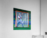  DSC2989 Enhanced NR Acrylic Print