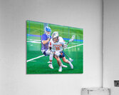  DSC2941 Enhanced NR Acrylic Print