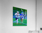  DSC2978 Enhanced NR Acrylic Print