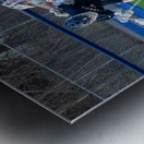 Potsdam Lacrosse Metal print