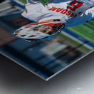  DSC2296 Enhanced NR Metal print